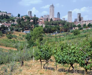 View of the Town